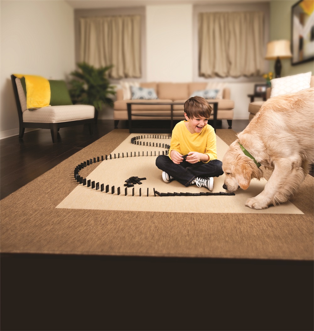 Hund und kleiner junge spielen mit Dominosteine