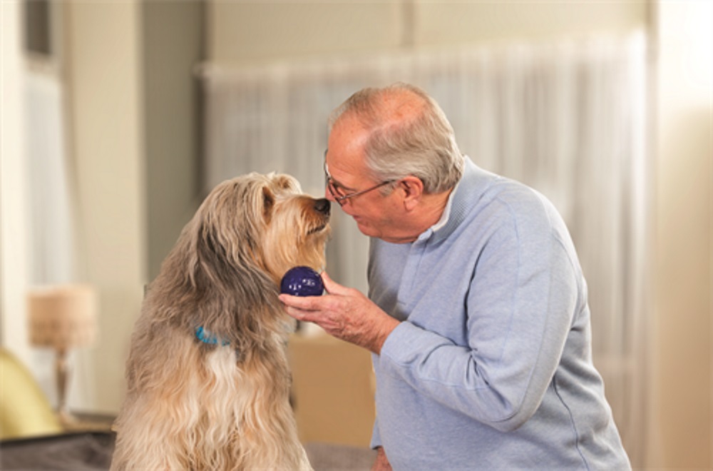 Älterer Mann und Hund mit einem Spielzeugball