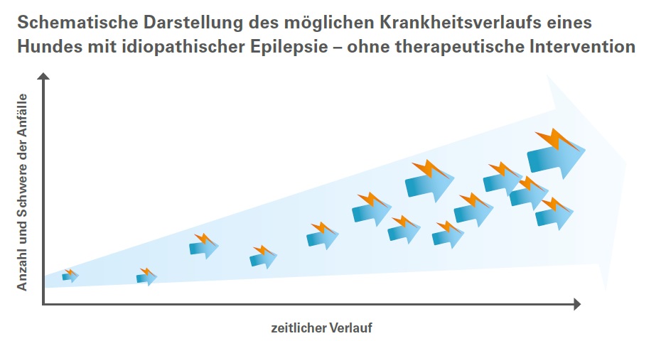 Schematische Darstellung des möglichen Krankheitsverlaufs eines Hundes mit idiopathischer Epilepsie - ohne therapeutische Intervention